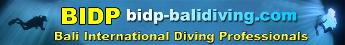 Bali International Diving