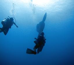 Wow, what a dive, Nusa Lembongan, Bali