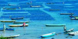 Nusa Lembongan Island