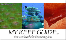 My Reef Guide