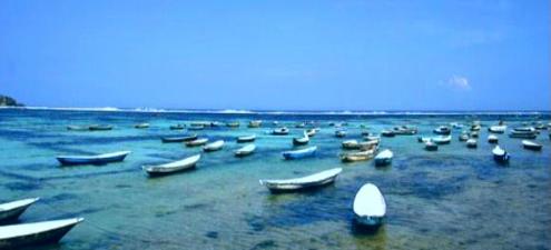 Nusa lembongan Island seaweed farming boats