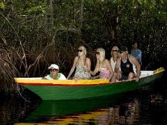 Mangrove tour - Nusa Lembongan, bali.